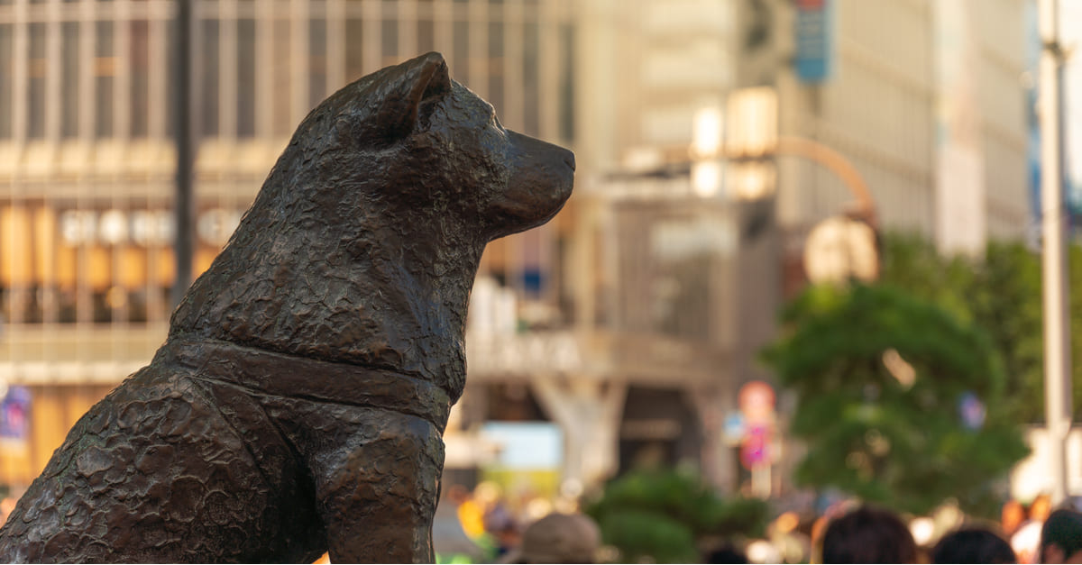 Statua di Hachiko Matteoingiappone Statua di Hachiko Matteoingiappone