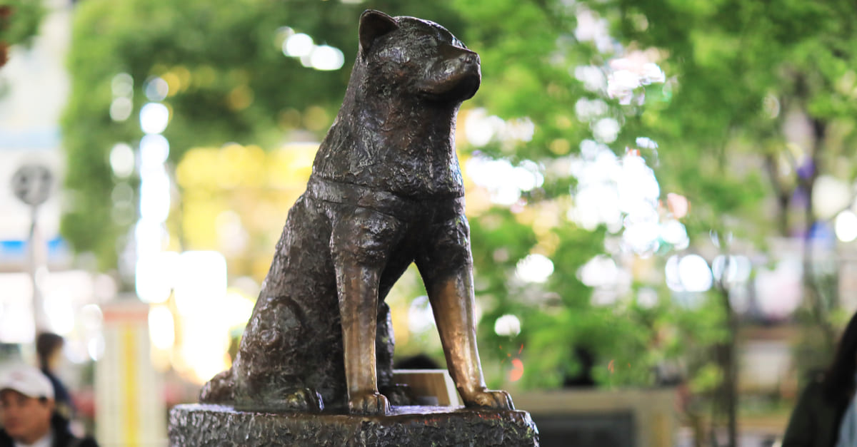 Statua di Hachiko Matteoingiappone Statua di Hachiko Matteoingiappone