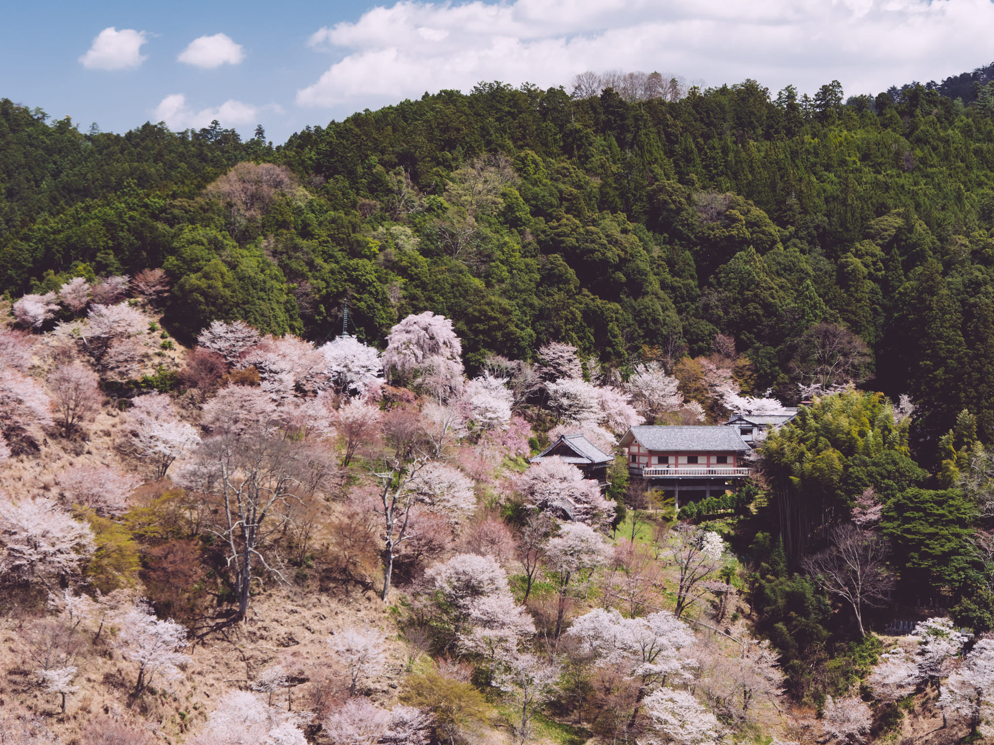 Tempio Nyoirin-ji