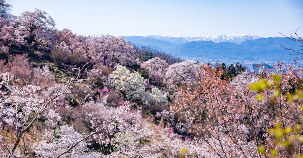 Parco Hanamiyama