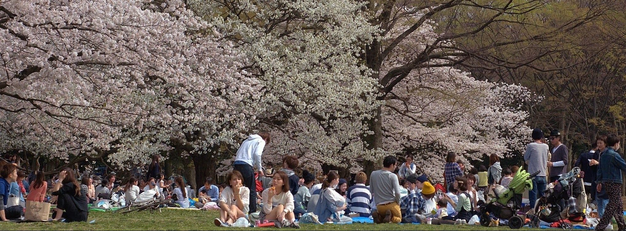 Parco Yoyogi
