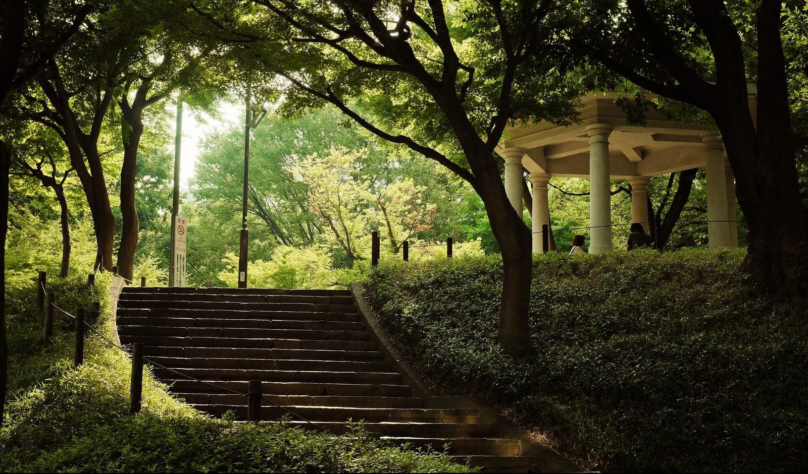 Shinjuku Central Park