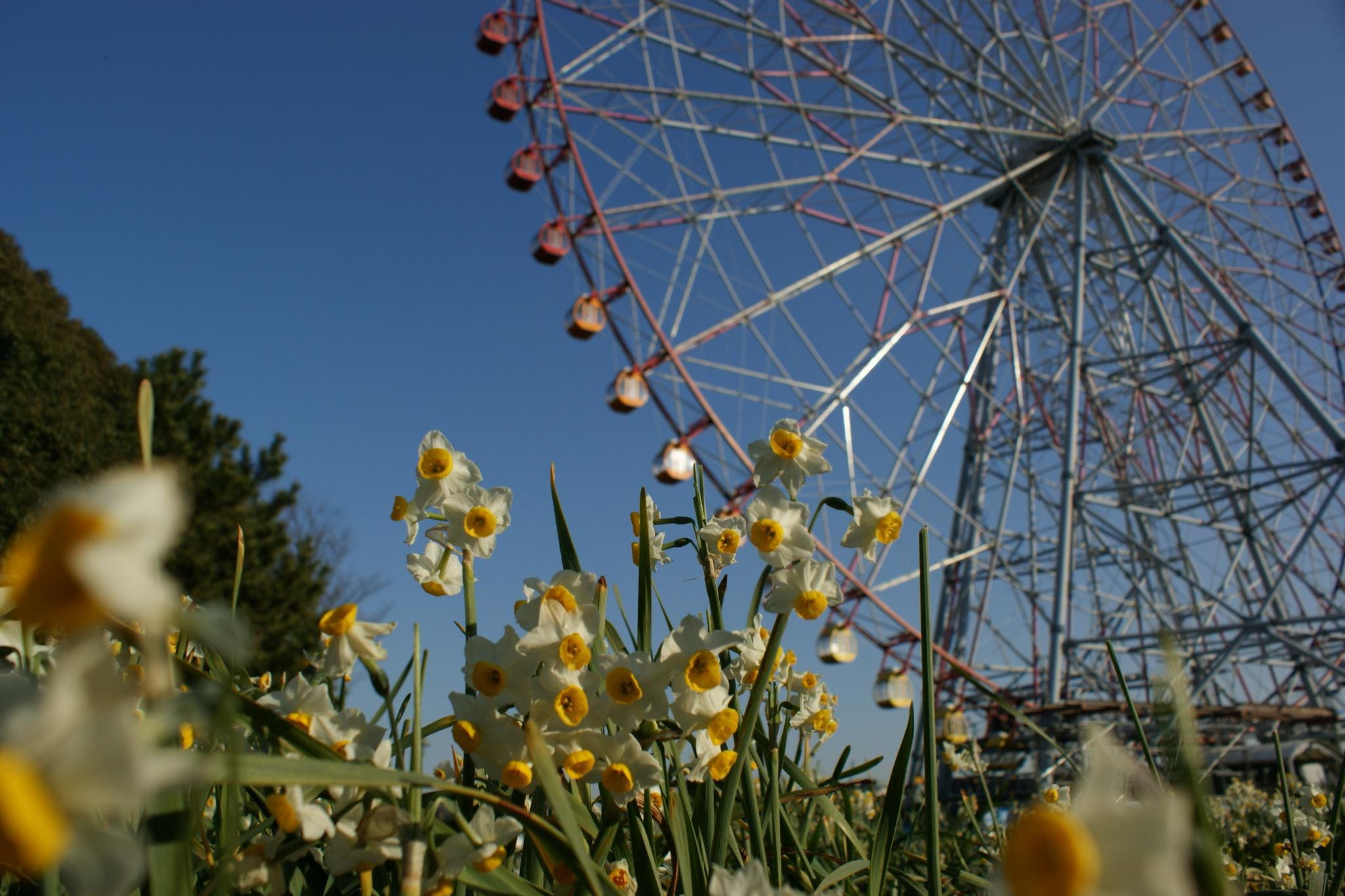 Kasai Rinkai Park