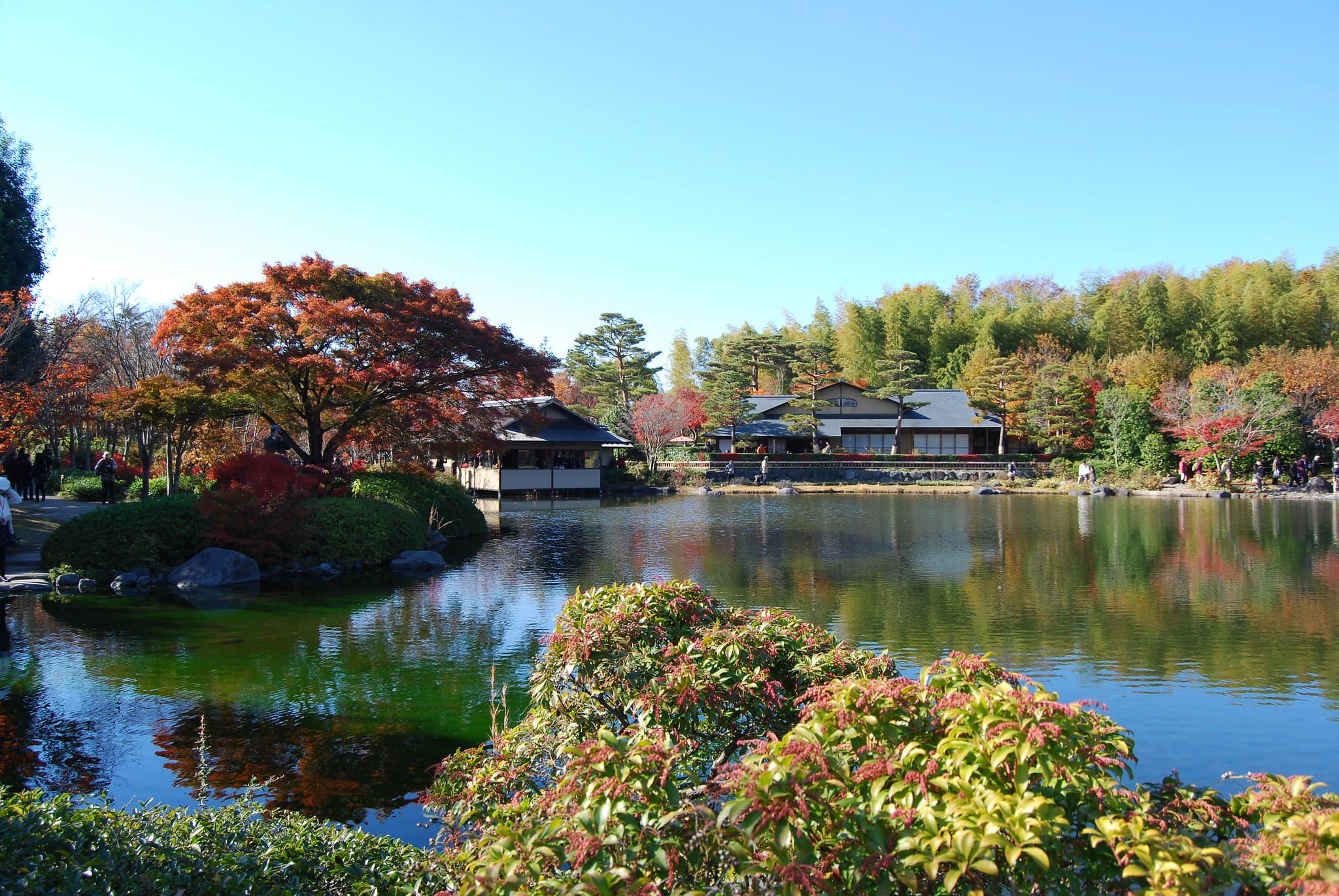 Showa Kinen Park