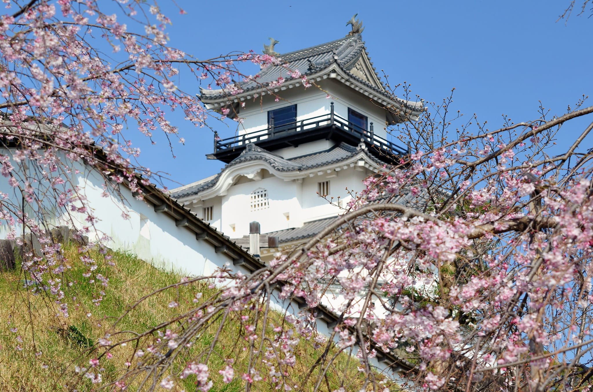 Castello di Kakegawa