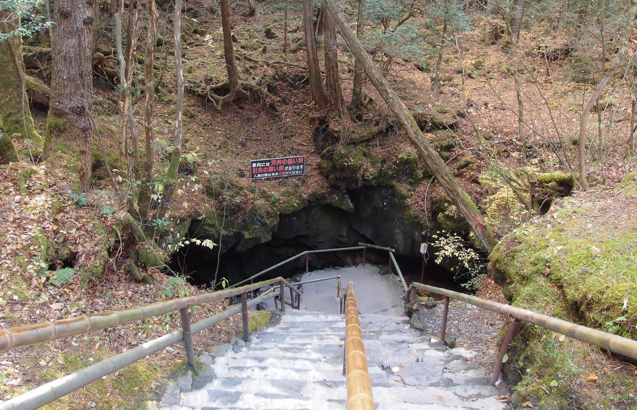 Grotte laviche del Fuji