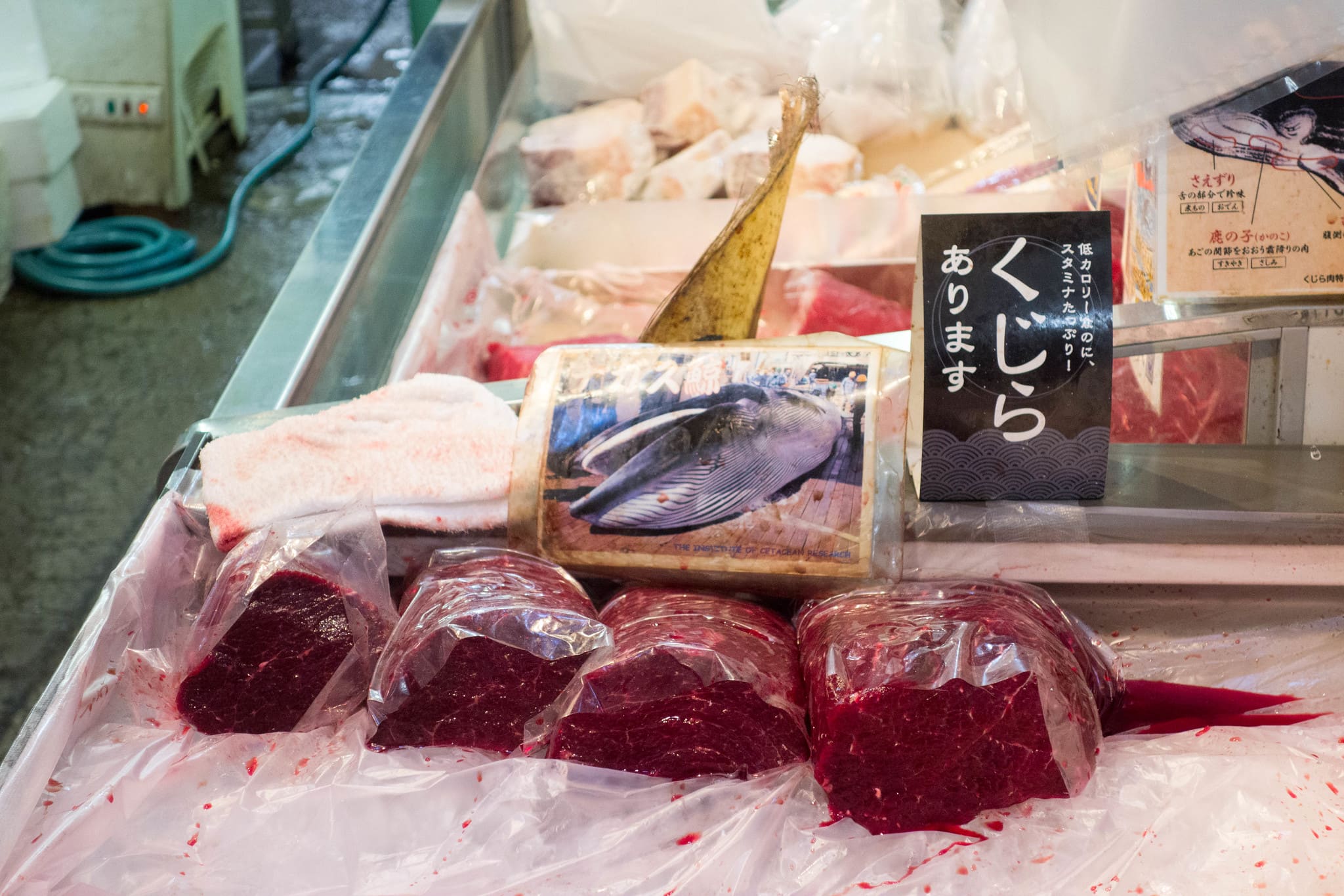 Carne di balena