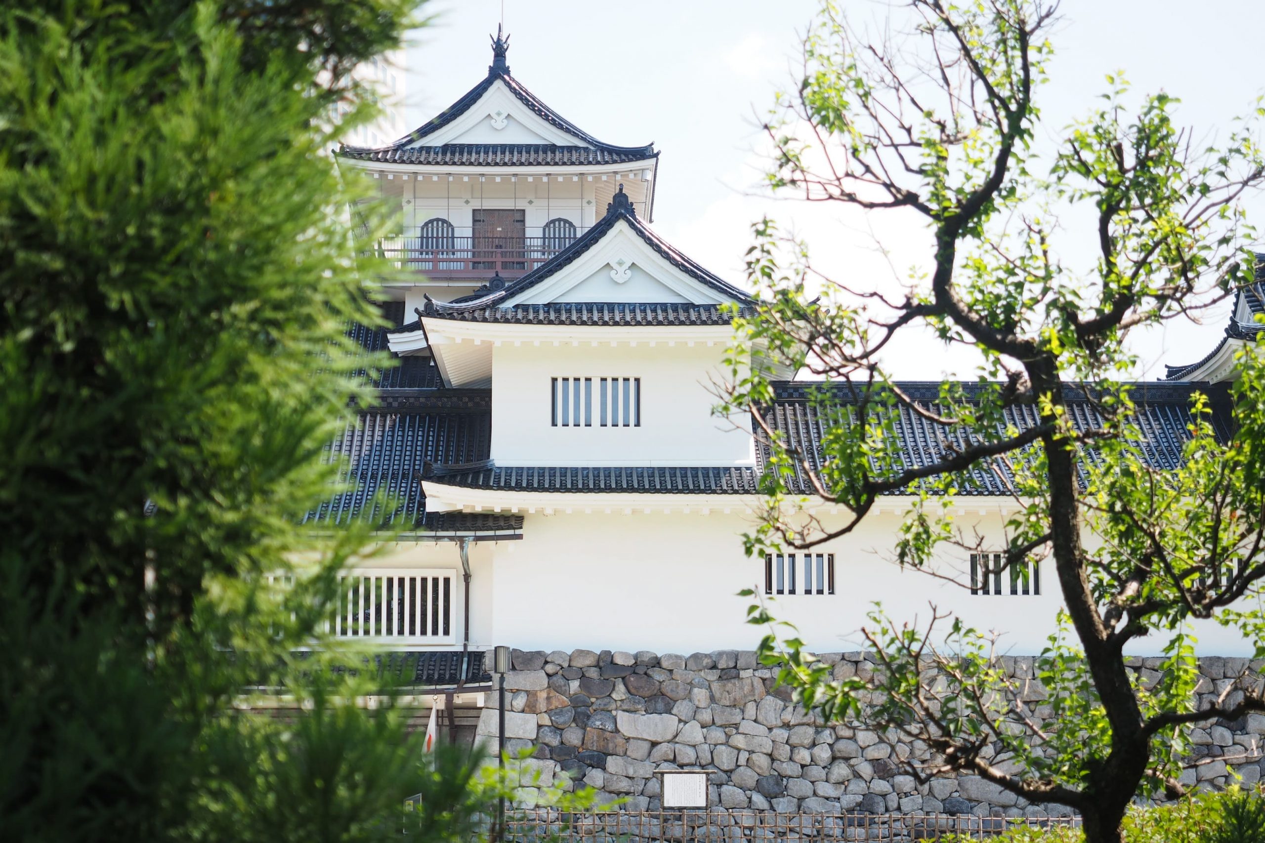 Castello di Toyama