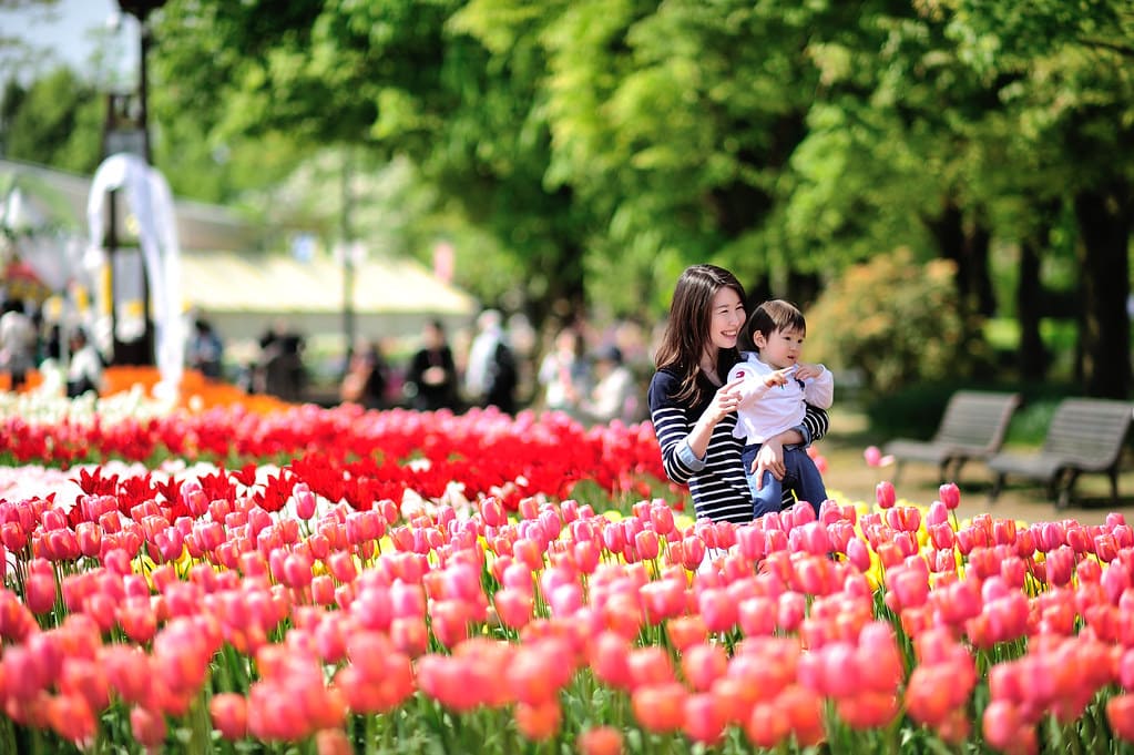 Tonami Tulip Fair