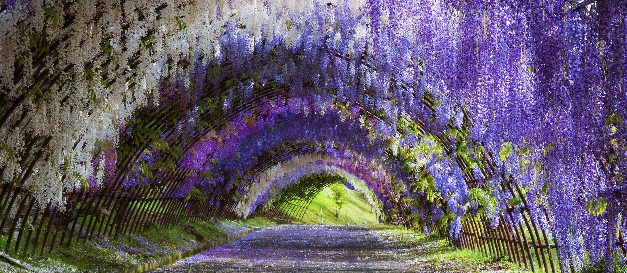 Giardino Kawachi Fujien
